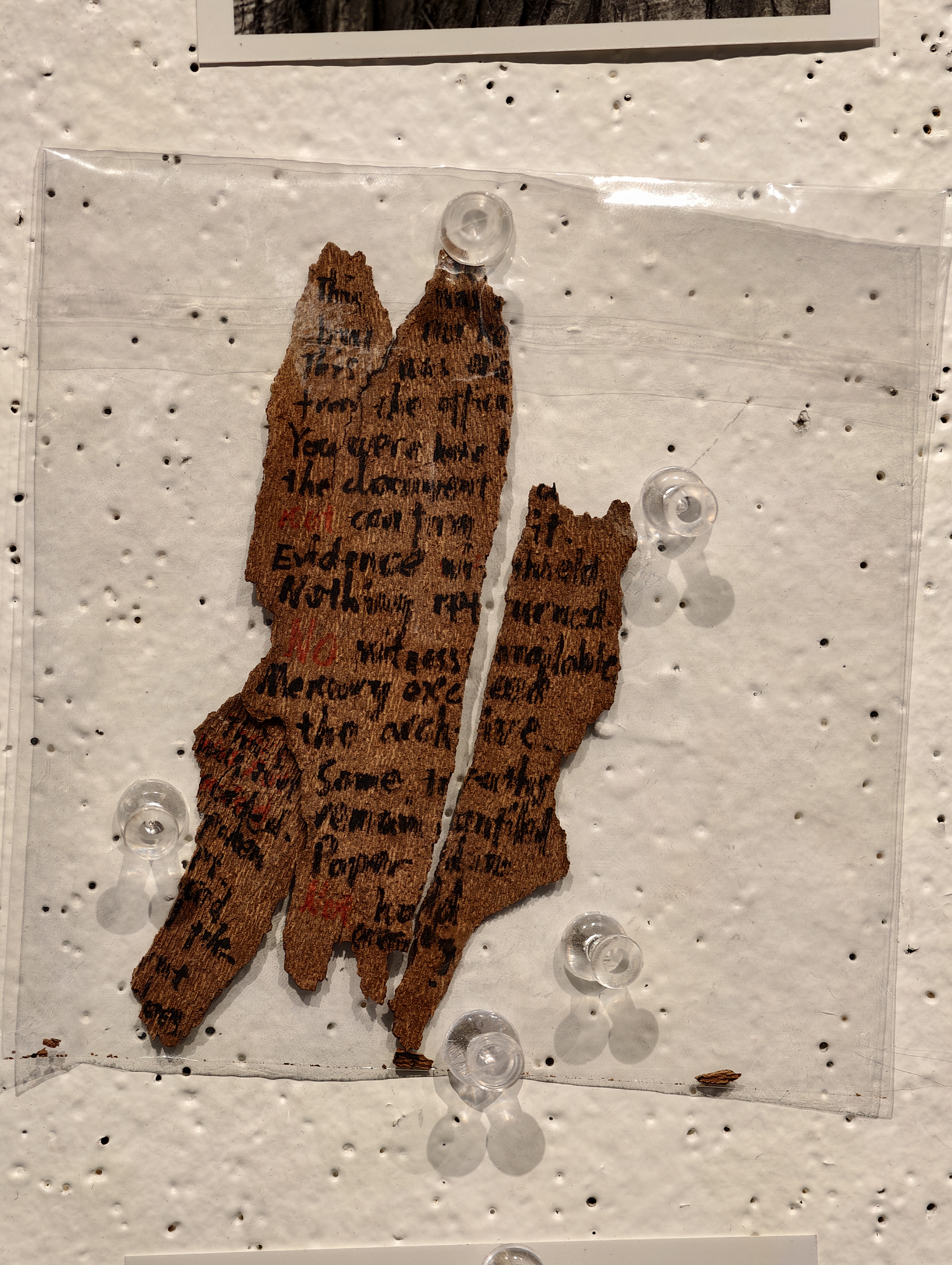 Trace — installation view 02