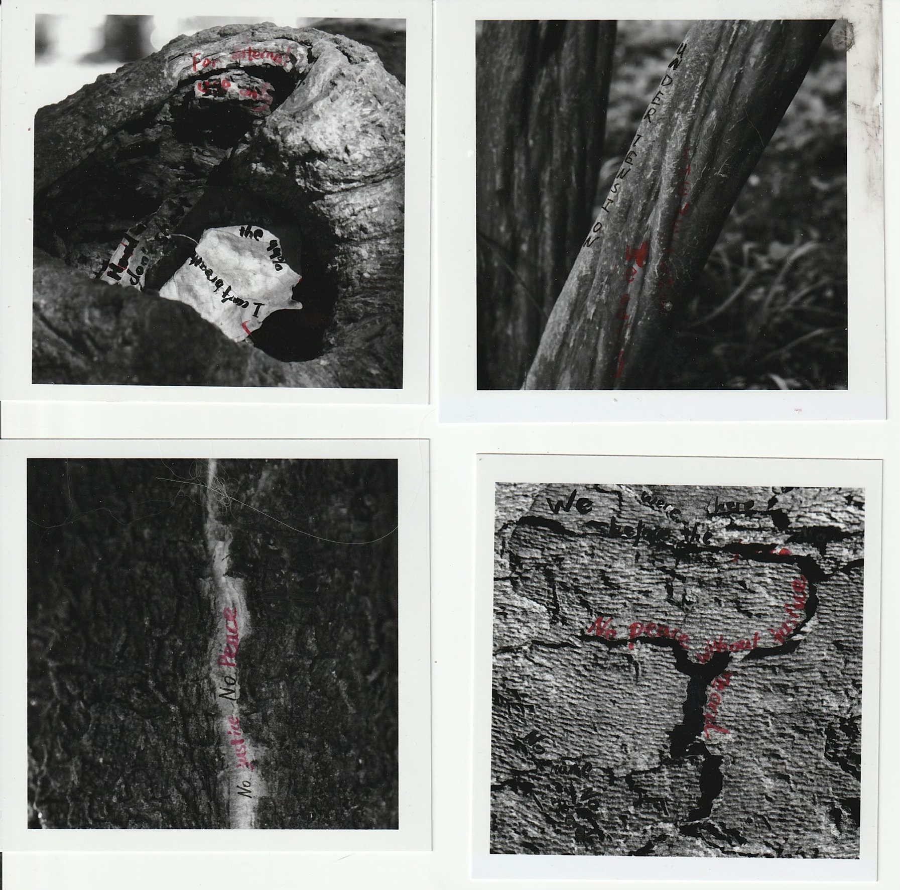 Trace — scan 02