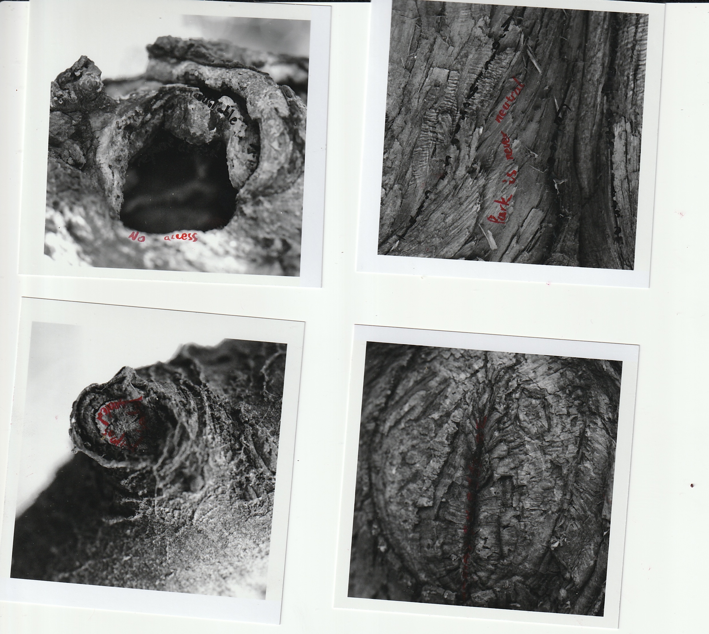 Trace — scan 03